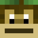 Image for Vamsi Minecraft Player