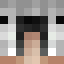 Image for VeSk3n Minecraft Player