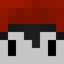 Image for VeloXI Minecraft Player