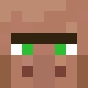 Image for VillagerMC Minecraft Player