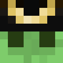 Image for VillagerWarrior Minecraft Player