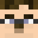 Image for Vimmler Minecraft Player