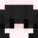 Image for Virlen Minecraft Player