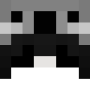 Image for Vocales Minecraft Player