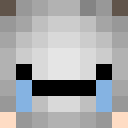 Image for Vxnz Minecraft Player