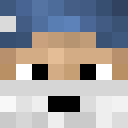 Image for Walrus_ Minecraft Player