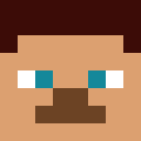 Image for Walrus_Dude Minecraft Player