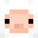 Image for Walrusader Minecraft Player