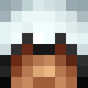 Image for Watch_Doges Minecraft Player