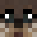 Image for Waterdogs Minecraft Player