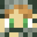 Image for Wiehann Minecraft Player