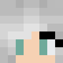 Image for Wikster Minecraft Player