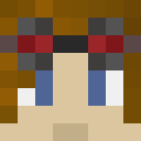 Image for Wildbronze Minecraft Player