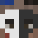 Image for WildwolfYT Minecraft Player