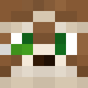 Image for Wilsonaire Minecraft Player