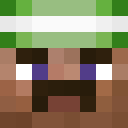 Image for WindowsLonghorn Minecraft Player