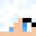 Image for WinterFlames Minecraft Player