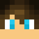 Image for Winterbro Minecraft Player