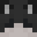 Image for Wolfdoll Minecraft Player