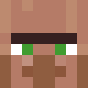 Image for Woosher Minecraft Player