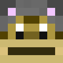 Image for Wopa Minecraft Player