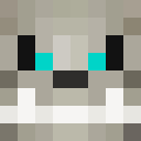 Image for Xerreth Minecraft Player