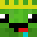 Image for XxTurtleKingxX Minecraft Player