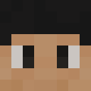 Image for Xyniro Minecraft Player