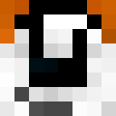 Image for Xyter Minecraft Player