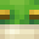 Image for Yellow_w Minecraft Player