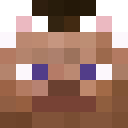 Image for Yily Minecraft Player