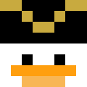 Image for YoloDuck Minecraft Player