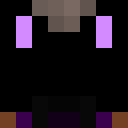 Image for Z_9 Minecraft Player