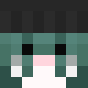 Image for Zanv Minecraft Player