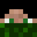 Image for Zappler Minecraft Player