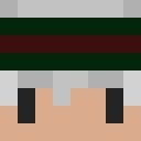 Image for Zeiu Minecraft Player