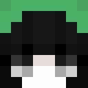 Image for Ziopi Minecraft Player