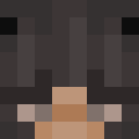 Image for Zomertje Minecraft Player