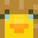 Image for ZooDuck Minecraft Player