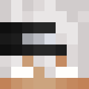 Image for ZooM3 Minecraft Player