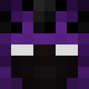 Image for Zuiz Minecraft Player