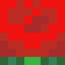 Image for Zyfar Minecraft Player