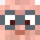 Image for _BernieSanders Minecraft Player