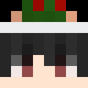 Image for _Degu Minecraft Player