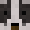 Image for _Feathers Minecraft Player