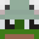 Image for _Froggyyy_ Minecraft Player