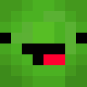 Image for _GreenTurtle Minecraft Player