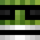 Image for _PiKI Minecraft Player