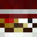 Image for _PolarBear Minecraft Player