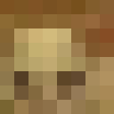 Image for _Purtle Minecraft Player